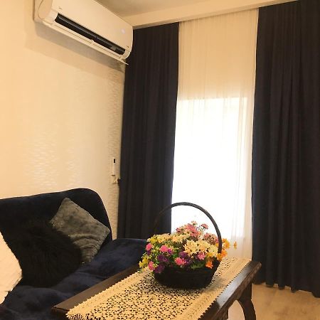 ティビリシNewly Renovated Houseアパートメント エクステリア 写真