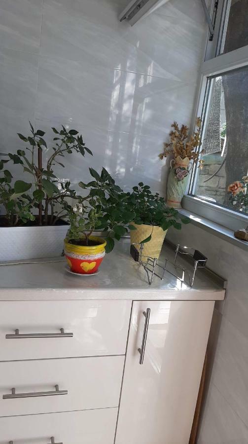 ティビリシNewly Renovated Houseアパートメント エクステリア 写真