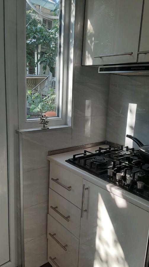 ティビリシNewly Renovated Houseアパートメント エクステリア 写真